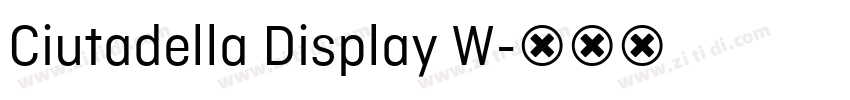 Ciutadella Display W字体转换